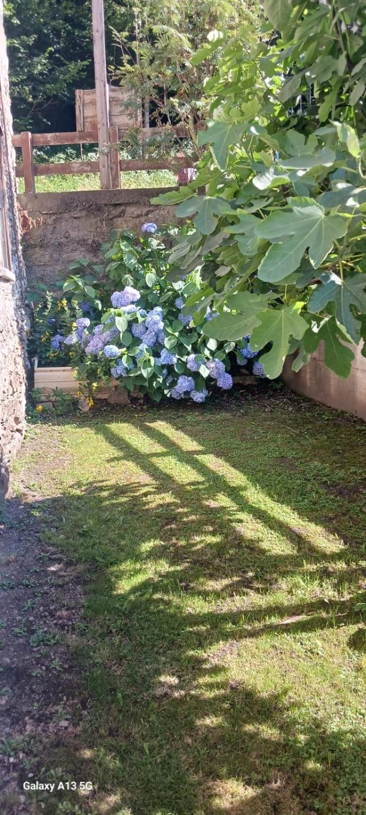 Casa Valentino Villa Corteno Golgi Eksteriør billede